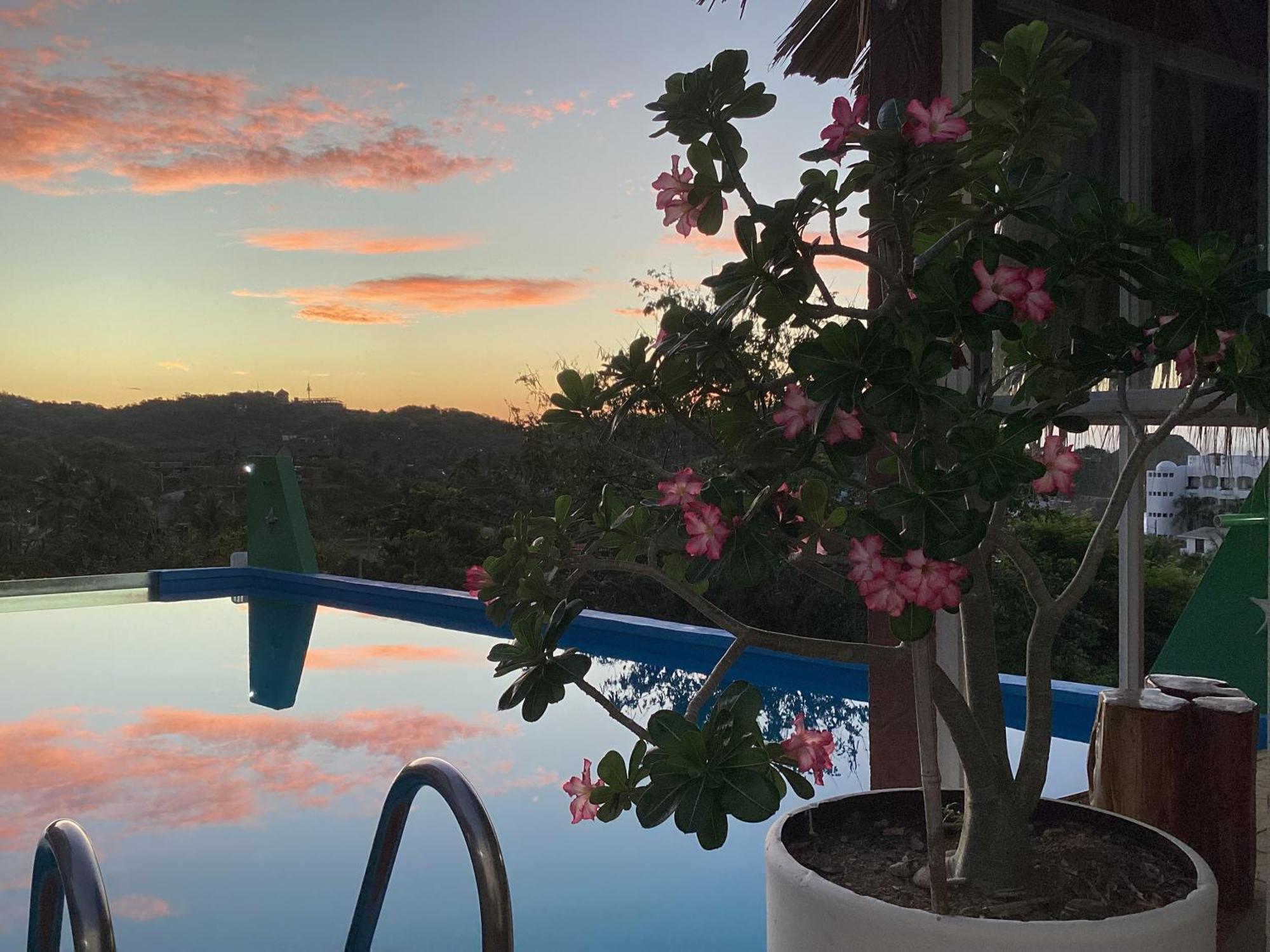 Namaste Zipolite Suites Zewnętrze zdjęcie